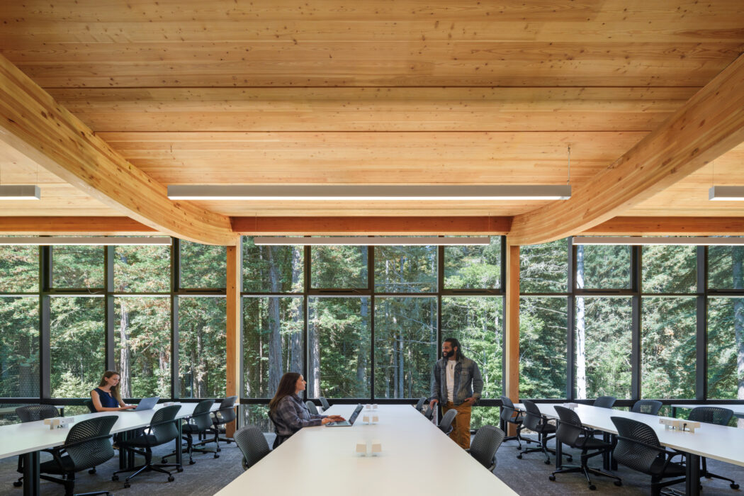 Mass Timber creates high-community impact through beautiful biophilic design