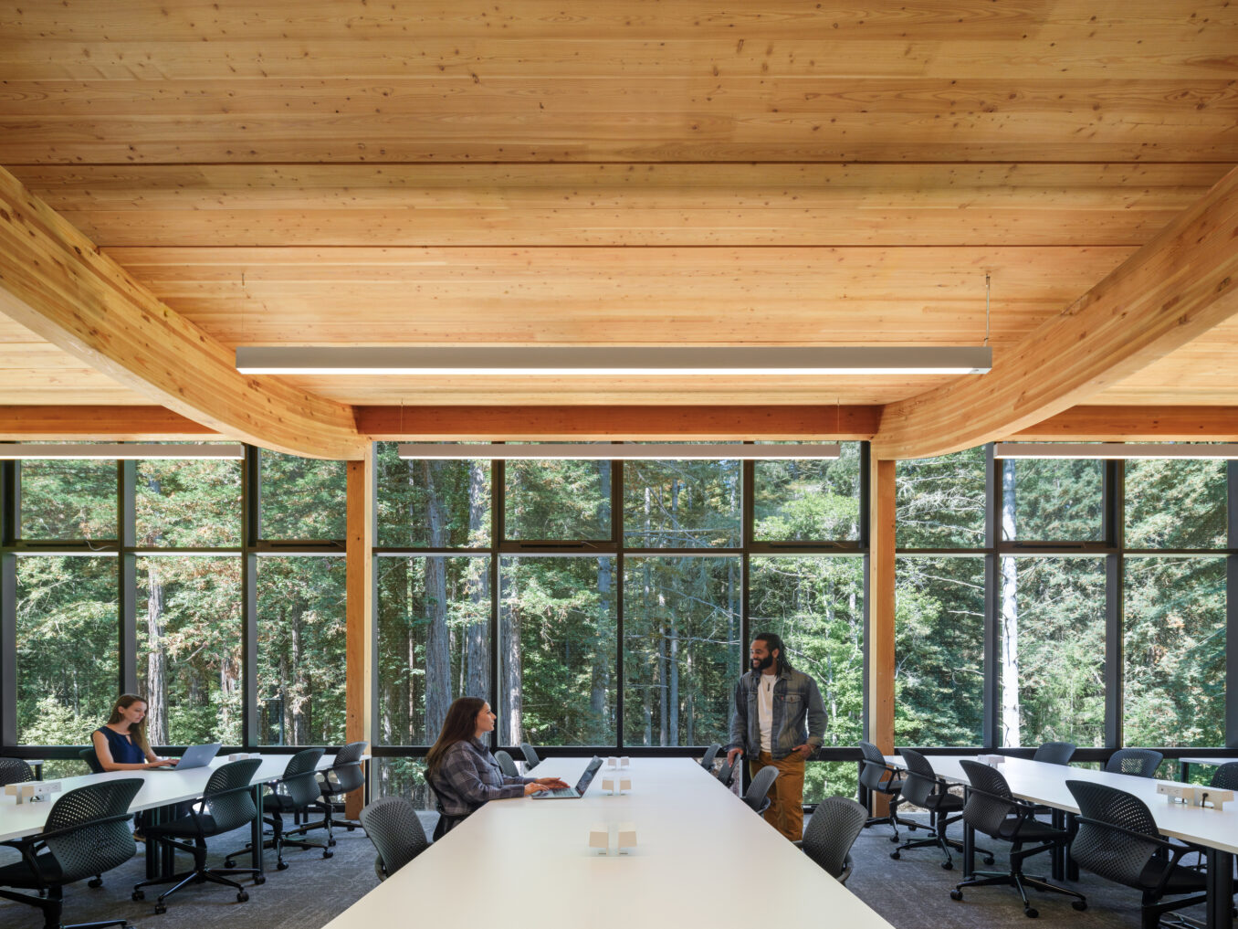 Mass Timber creates high-community impact through beautiful biophilic design
