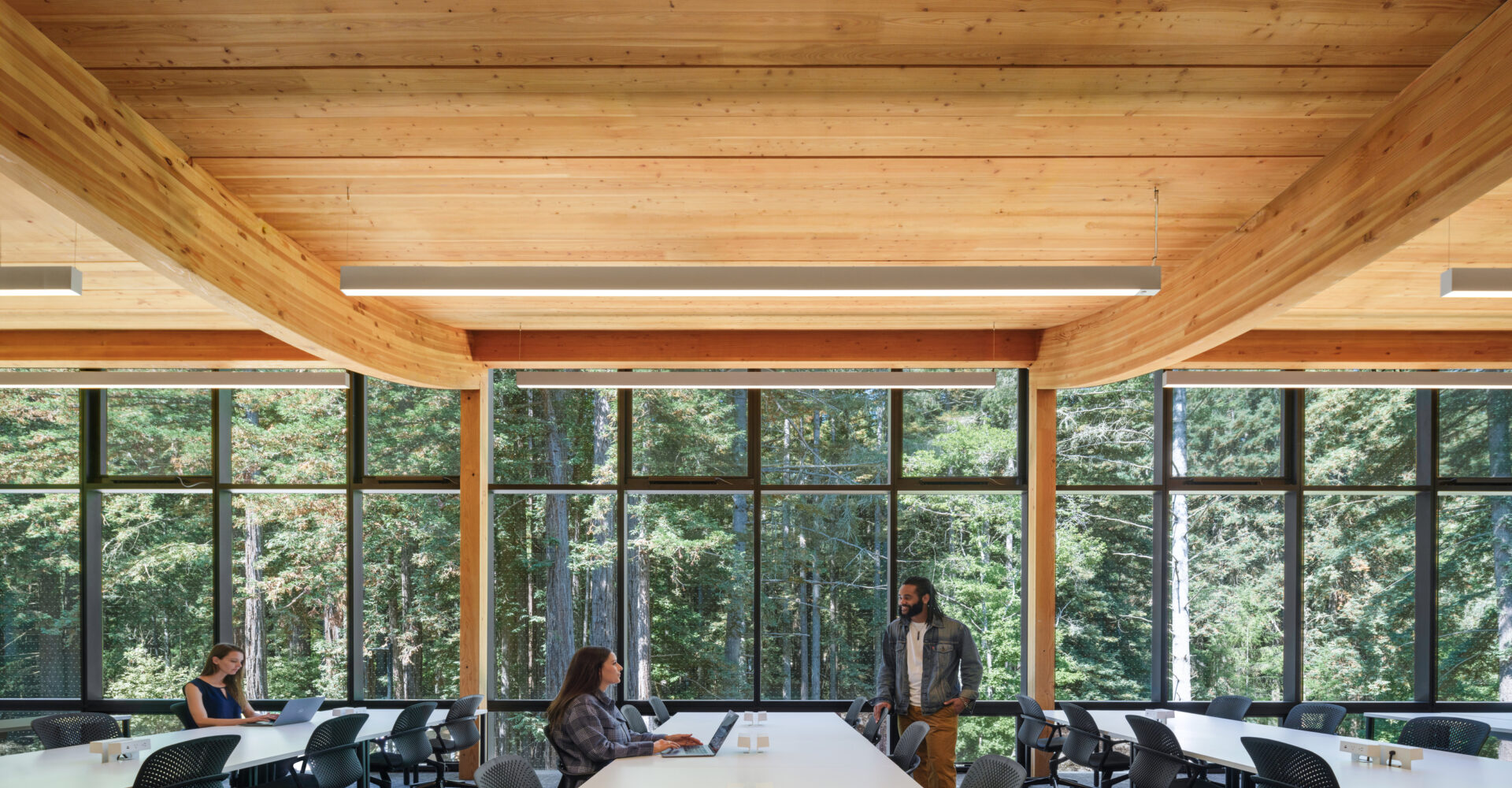 Mass Timber creates high-community impact through beautiful biophilic design