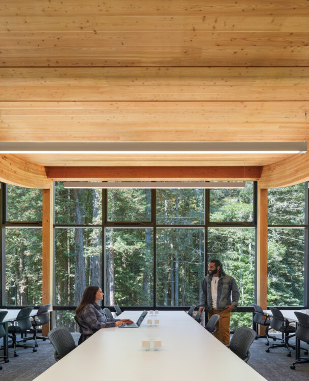 Mass Timber creates high-community impact through beautiful biophilic design