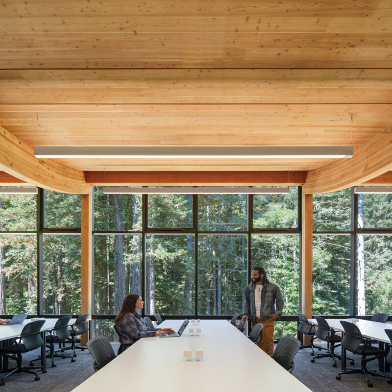 Mass Timber creates high-community impact through beautiful biophilic design